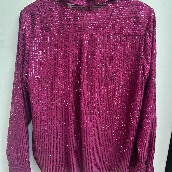 Anthropologie Sequin Burgundy Button Down Shirt - Picture 7 of 7
